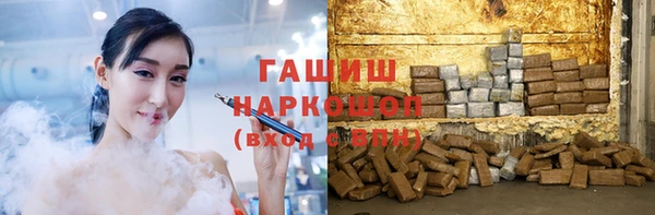 мдпв Осташков