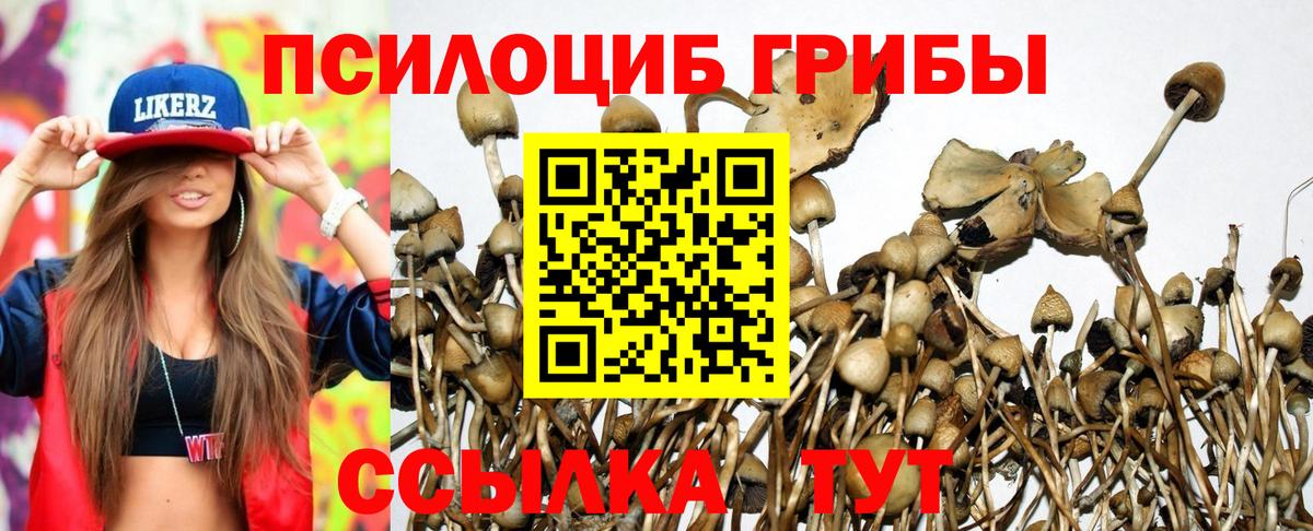 Новоуральск  Псилоцибиновые грибы мицелий  Галлюциногенные грибы GOLDEN TEACHER  наркошоп  Вход с VPN 