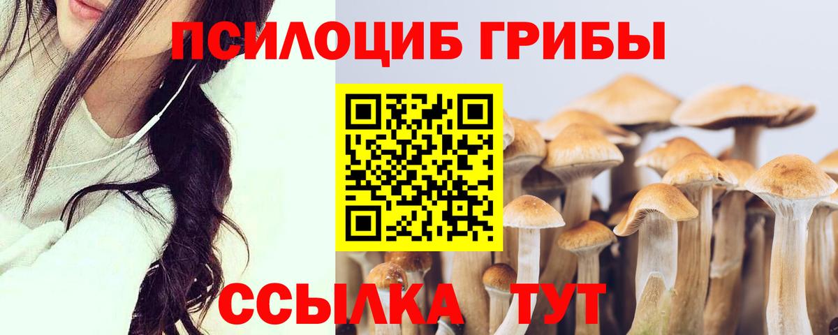 Галлюциногенные грибы Magic Shrooms Новоуральск